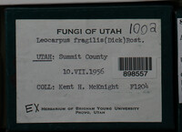 Image Associated With the Occurence